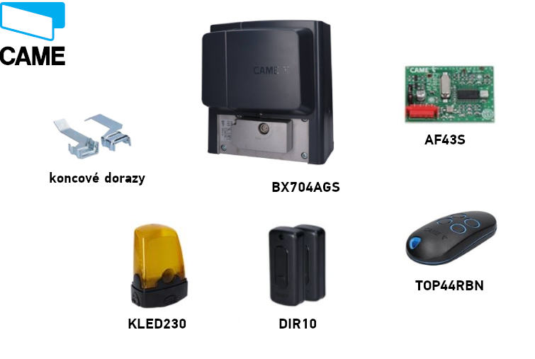 Kit CAME BX704AGS
